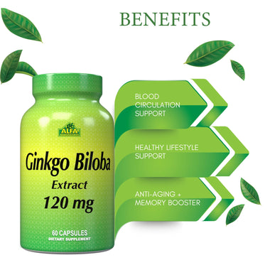 Ginkgo Biloba 120mg